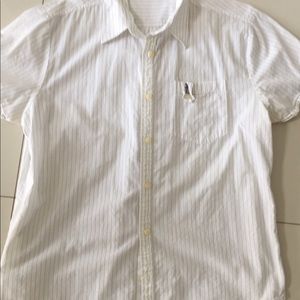Penguin shirts men medium